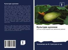 Buchcover von Культура цуккини