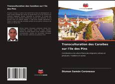 Bookcover of Transculturation des Caraïbes sur l'île des Pins