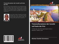 Bookcover of Transculturazione dei Caraibi sull'Isola dei Pini