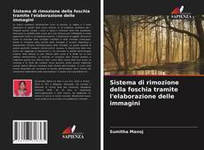 Copertina di Sistema di rimozione della foschia tramite l'elaborazione delle immagini