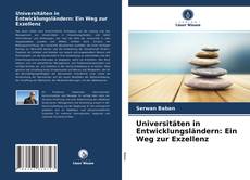Copertina di Universitäten in Entwicklungsländern: Ein Weg zur Exzellenz