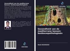 Gezondheid van de mediterrane bossen: bosbouwpathologieën kitap kapağı