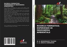 Copertina di RICERCA FORMATIVA: ESPERIENZE DI INGEGNERIA AMBIENTALE