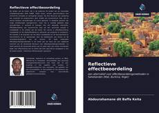 Reflectieve effectbeoordeling kitap kapağı