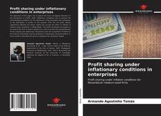 Capa do livro de Profit sharing under inflationary conditions in enterprises 
