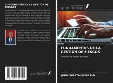 Capa do livro de FUNDAMENTOS DE LA GESTIÓN DE RIESGOS 