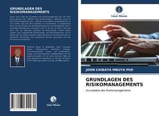 Buchcover von GRUNDLAGEN DES RISIKOMANAGEMENTS