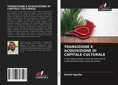 TRANSIZIONE E ACQUISIZIONE DI CAPITALE CULTURALE kitap kapağı