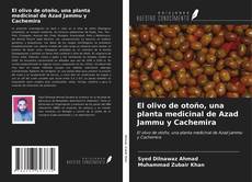 Capa do livro de El olivo de otoño, una planta medicinal de Azad Jammu y Cachemira 