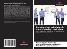 Borítókép a  Andragogical principles in the university curriculum - hoz
