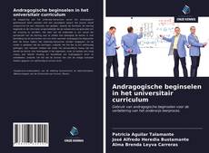 Bookcover of Andragogische beginselen in het universitair curriculum