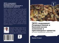 Portada del libro de TBTCL индуцирует Репродуктивные и биохимические изменения в пресноводных креветок