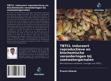 Bookcover of TBTCL induceert reproductieve en biochemische veranderingen bij zoetwatergarnalen