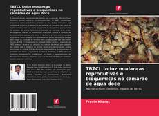 Copertina di TBTCL induz mudanças reprodutivas e bioquímicas no camarão de água doce