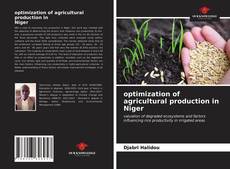 Buchcover von optimization of agricultural production in Niger