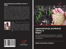 Copertina di optymalizacja produkcji rolnej w Niger