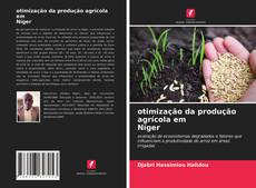 Copertina di otimização da produção agrícola em Níger