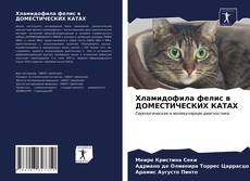 Buchcover von Хламидофила фелис в ДОМЕСТИЧЕСКИХ КАТАХ