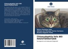 Copertina di Chlamydophila felis BEI HAUSTIERKATZEN