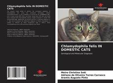 Bookcover of Chlamydophila felis IN DOMESTIC CATS