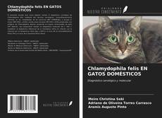 Bookcover of Chlamydophila felis EN GATOS DOMÉSTICOS