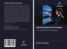 Capa do livro de FINANCIERINGSSTRATEGIEËN 