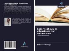 Bookcover of Spoorwegbouw en uitdagingen van ontheemden