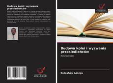 Buchcover von Budowa kolei i wyzwania przesiedleńców