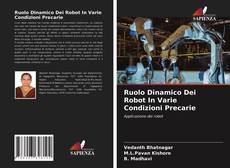 Ruolo Dinamico Dei Robot In Varie Condizioni Precarie kitap kapağı