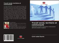 Travail social, territoire et communauté kitap kapağı