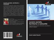 Lavoro sociale, territorio e comunità的封面