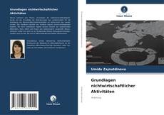 Bookcover of Grundlagen nichtwirtschaftlicher Aktivitäten