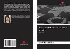 Bookcover of Fundamentals of non-economic activity