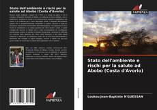 Bookcover of Stato dell'ambiente e rischi per la salute ad Abobo (Costa d'Avorio)