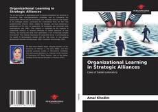 Capa do livro de Organizational Learning in Strategic Alliances 