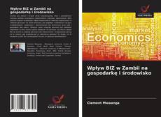 Wpływ BIZ w Zambii na gospodarkę i środowisko kitap kapağı