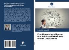 Emotionale Intelligenz: ein Schlüsselfaktor mit vielen Gesichtern的封面