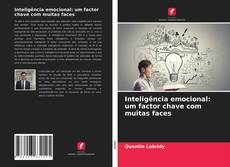 Bookcover of Inteligência emocional: um factor chave com muitas faces