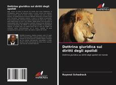 Bookcover of Dottrina giuridica sui diritti degli apolidi