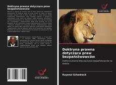 Bookcover of Doktryna prawna dotycząca praw bezpaństwowców