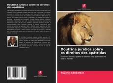 Bookcover of Doutrina jurídica sobre os direitos dos apátridas