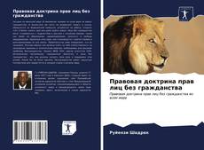 Bookcover of Правовая доктрина прав лиц без гражданства