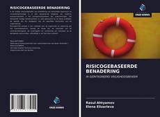 Bookcover of RISICOGEBASEERDE BENADERING