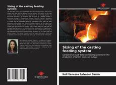 Bookcover of Sizing of the casting feeding system