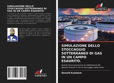 SIMULAZIONE DELLO STOCCAGGIO SOTTERRANEO DI GAS IN UN CAMPO ESAURITO. kitap kapağı