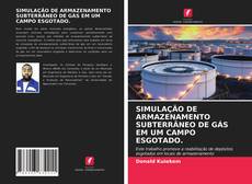 Couverture de SIMULAÇÃO DE ARMAZENAMENTO SUBTERRÂNEO DE GÁS EM UM CAMPO ESGOTADO.