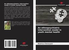 Bookcover of An ethnopsychiatric intervention model in youth mental health