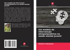 Bookcover of Um modelo de intervenção etnopsiquiátrica na saúde mental juvenil