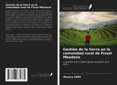 Buchcover von Gestión de la tierra en la comunidad rural de Fissel Mbadane