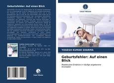 Couverture de Geburtsfehler: Auf einen Blick